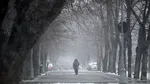 Ninsori şi temperaturi negative în Bucureşti în următoarele zile