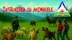 Avertisment Salvamont: Cum să evitați întâlnirile cu urșii și alte animale sălbatice
