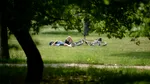 ANM: Urmează o săptămână călduroasă în estul și sudul țării