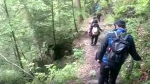 VIDEO | Patru turişti s-au întâlnit cu un urs pe un traseu din Buşteni