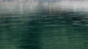 Danube Oil Spill In SW Romanian Waters