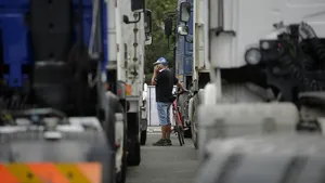 Ştefănescu (COTAR), despre modificarea RCA: Dacă ASF-ul va fi scos din lege, avem o problemă