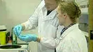 Probele ADN confirmă că tânărul acuzat că şi-a violat nepoata e vinovat (Video)
