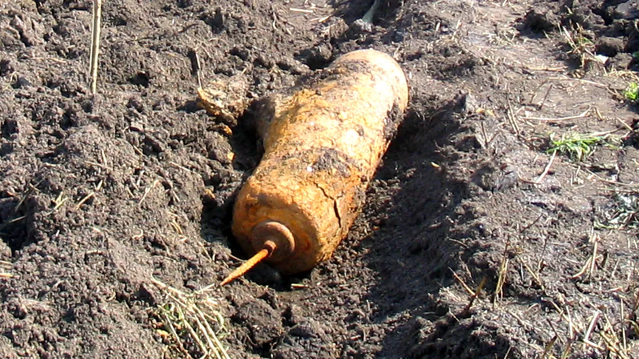 Proiectil exploziv de calibrul 76 mm, găsit de un bărbat din Giurgiu, în timp ce ara un teren agricol