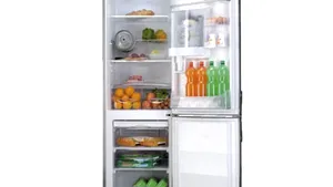 Congelatorul, cel mai bun prieten al persoanelor aflate la dietă