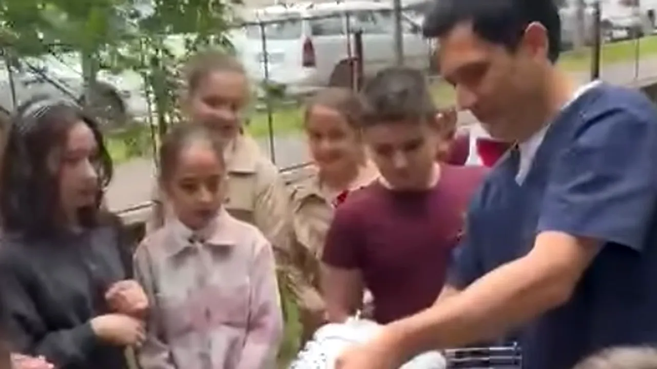 Un pui de corb a fost salvat de copiii unei școli din Dr. Tr. Severin