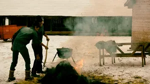 FOTO Tradiţia în noaptea de Ignat şi cum anunţă porcul tăiat ce iarnă va urma
