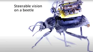 O rădaşcă a devenit cameraman