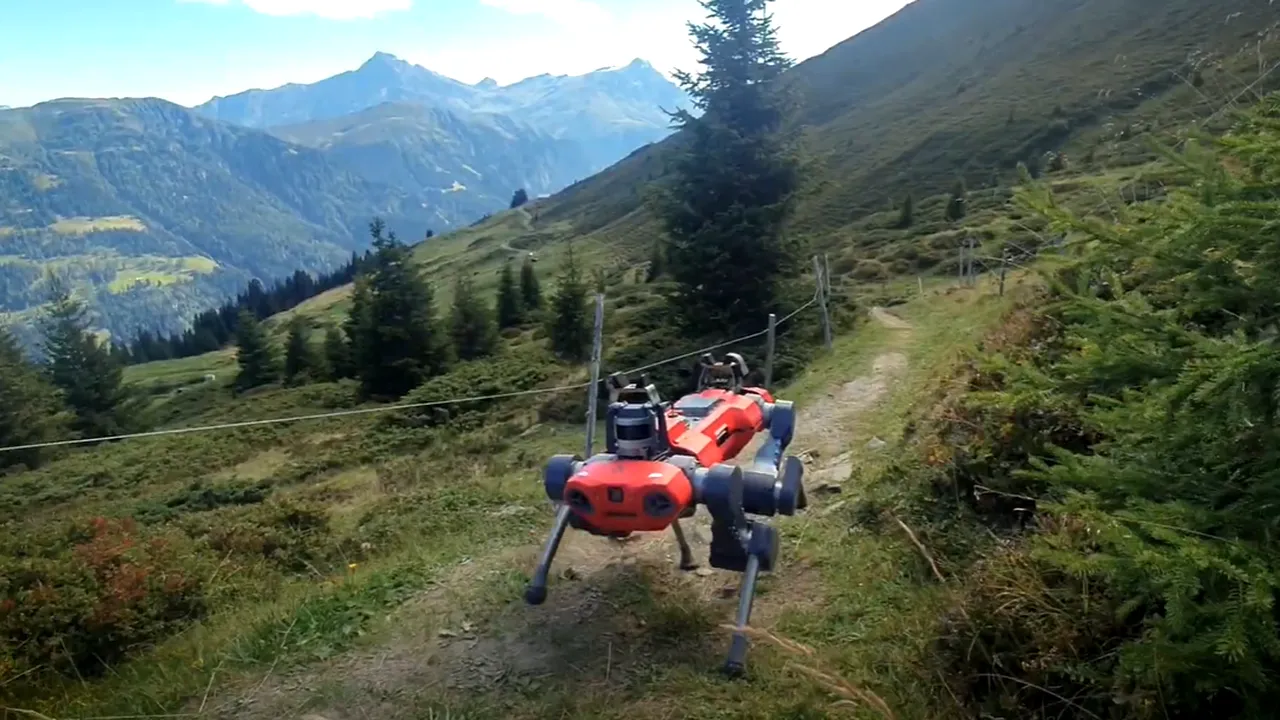  VIDEO Un robot „plimbăreţ” a învăţat să ia decizii corecte. În lumea reală s-a descurcat şi mai bine decât în simulare