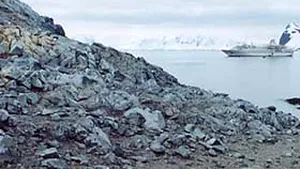 Animale gigantice, capturate de specialişti din apele Antarcticii