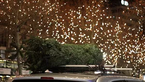 Daniel Băluță anunță când și unde se aprind luminițele festive. Vor fi pornite milioane de becuri colorate și aproape 5.000 de decorațiuni luminoase