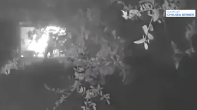 LIFE O gâscă a salvat o familie de la un incendiu devastator