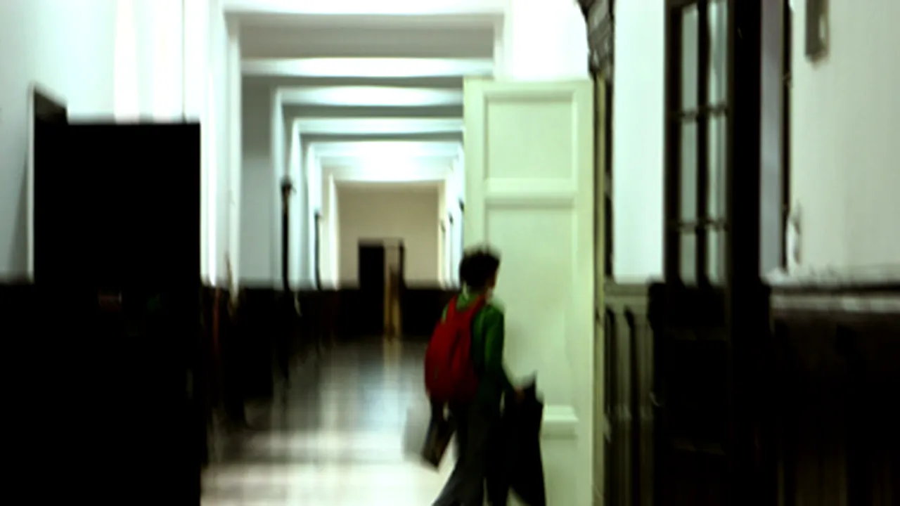 Slobozia: Echipă a Ministerului Sănătăţii, la liceul unde o elevă s-a îmbolnăvit de gripă porcină