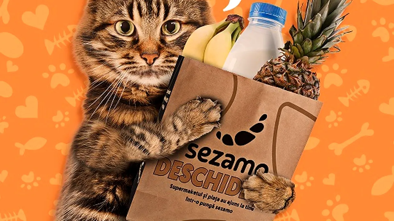 Sezamo dezvoltă categoria Pet Shop, cu focus pe pisici