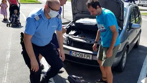 O reptilă şi-a depus ouăle între motorul şi caroseria unei maşini din Reşiţa FOTO 