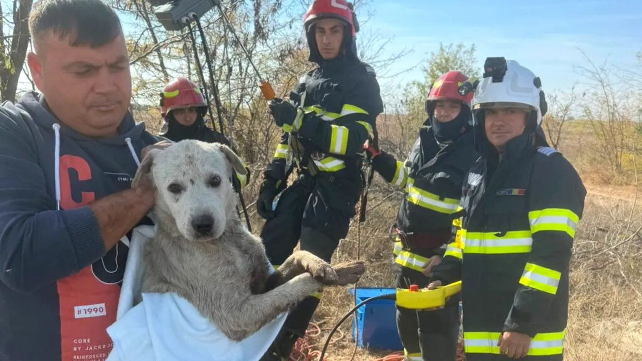 Câine din Dolj, salvat dintr-o fântână adâncă de 10 metri