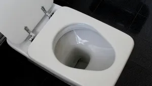 Amenda uriaşă primită de un timişorean care a aruncat vasul de toaletă la gunoi 