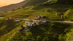 Drumul din Italia care pornește din Veneția și ajunge în „raiul” Prosecco. Satele și podgoriile care par desprinse dintr-o poveste