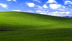 Cel mai cunoscut peisaj din lume. Care este povestea din spatele fundalului Windows XP - VIDEO