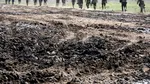 Raport: Rusia a pierdut un milion de răniți și uciși de la începutul războiului în Ucraina