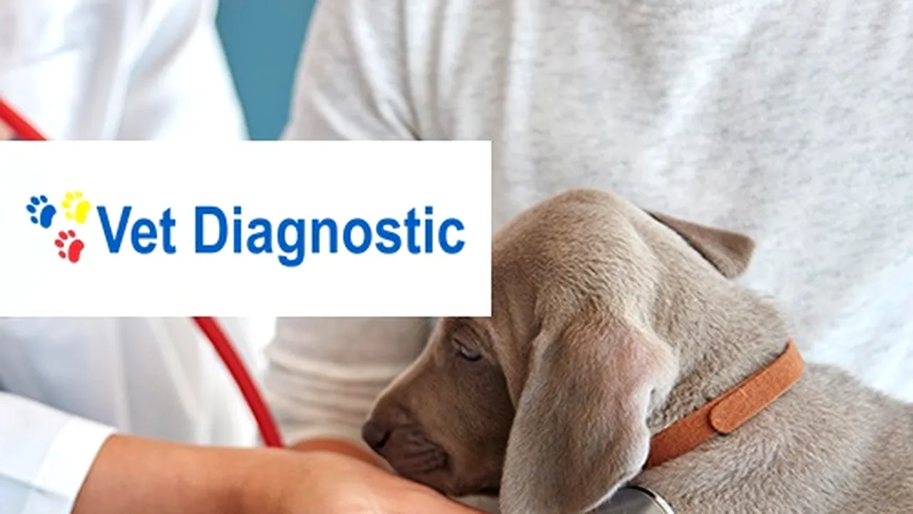 Vet Diagnostic a crescut numărul de comenzi expediate zilnic, cu ajutorul portalului B2B