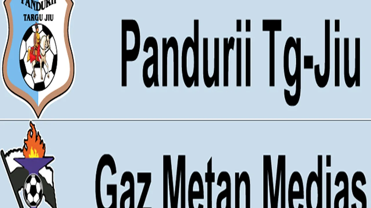 FOCUS: Pandurii Târgu Jiu şi Gaz Metan Mediaş, singurele cluburi 