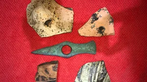 Obiecte foarte vechi şi valoroase, descoperite de un bărbat din Neamţ: Fuseseră scoase la suprafaţă în urma lucrărilor agricole