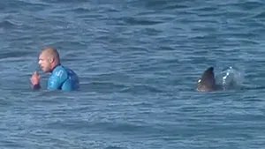 Imagini SPECTACULOASE: Lupta unui surfer cu doi RECHINI, surprinsă în direct - VIDEO