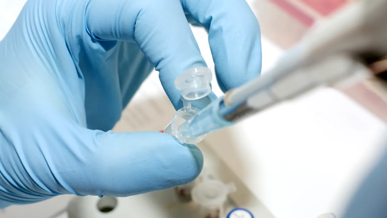 Un nou mecanism de apărare împotriva infecțiilor bacteriene, descoperit