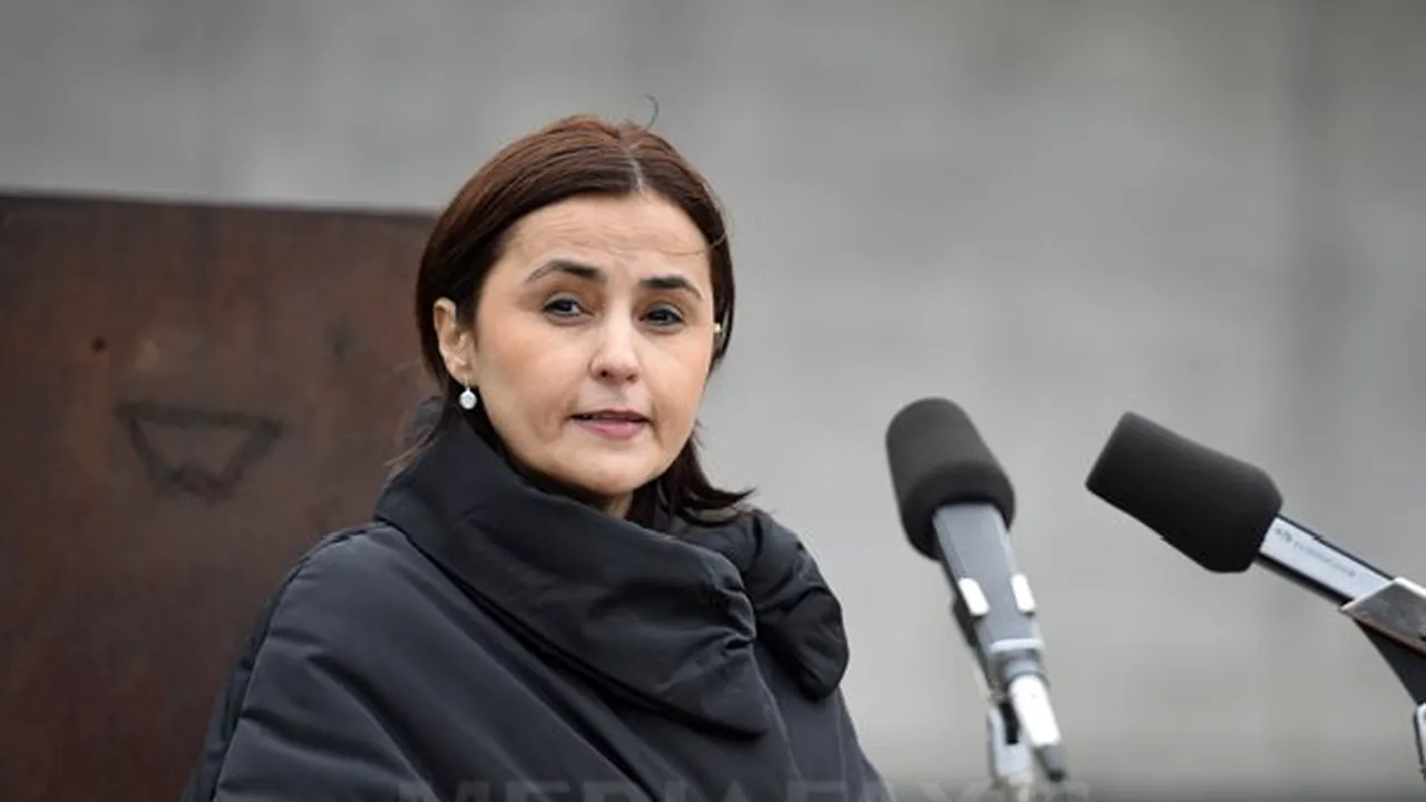 Guvernul a discutat cu ambasadorul la UE agenda europeană a României