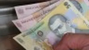 Romania’s Salaries Seen Up 12-13% On Yr In ‘09 - Survey