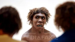 Cum s-au cunoscut Homo Sapiens şi Omul de Neanderthal. Descoperire de excepţie făcută într-o peşteră