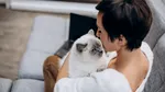 Ce simt pisicile când le pupi. Adevărul pe care mulți stăpâni nu vor să îl audă