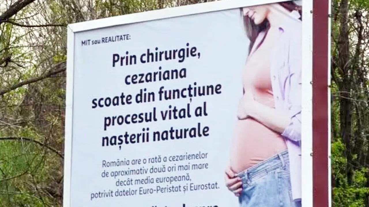 „În 2026, așa ceva?” Senatoarea Cynthia Păun cere intervenție de urgență după apariția unor panouri controversate