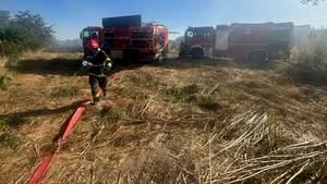 Incendiu violent de vegetație uscată în județul Dolj. Focul s-a extins la o casă și o anexă