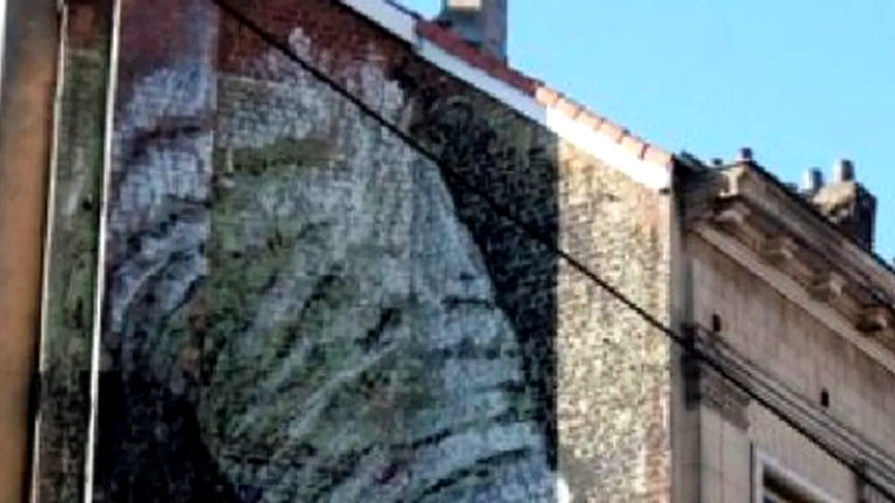 Picturi murale obscene ce iscă dispute. Orăşenii semnează petiţii, autorităţile vor să le înlăture - FOTO