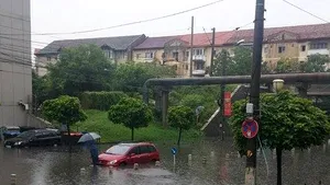 Optzeci de hectare de păşune, inundate în judeţul Botoşani, după ce râul Jijia a ieşit din matcă