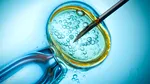Normele pentru programul de Fertilizare in vitro, în dezbatere publică