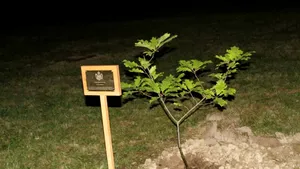 Principesa Margareta şi ambasadorul Martin Harris au plantat un stejar în onoarea prinţului George - FOTO