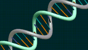 Prima decriptare a genomului unei femei, realizată de geneticienii olandezi