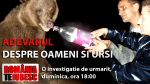 Ursul - între comoară naţională şi pacoste, duminică, la 