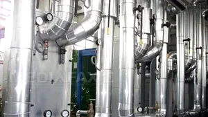 Guvernul prezintă un raport din 2010 la RADET. Ramba şi directorul indicaţi ca responsabili