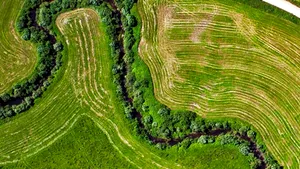 Statul vrea să impoziteze peste 600.000 de agricultori care nu declară venituri