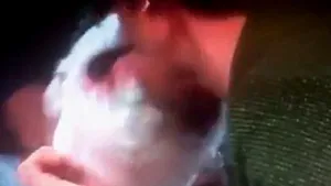 IMAGINI ŞOCANTE LA TV: O prezentatoare a fost muşcată de faţă de un câine - VIDEO