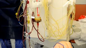 Bacteria E.coli care afectează Germania a ajuns şi în Suedia: aproximativ 40 de cazuri de contaminare, dintre care 15 grave