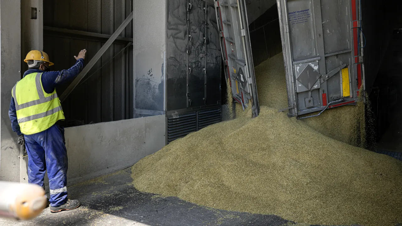 FOTO. O zi în portul Constanţa. Iată cum se desfăşoară transportul cerealelor ucrainiene prin România. Transporturile sunt vitale pentru a evita o criză alimentară globală