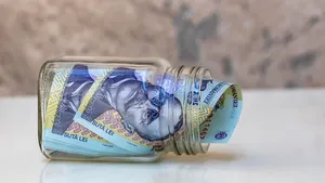 Facilităţi fiscale: Gospodăria ţărănească, scutită de impozit pe terenuri şi clădiri. Tot mai mulţi orăşeni aleg să se mute la ţară