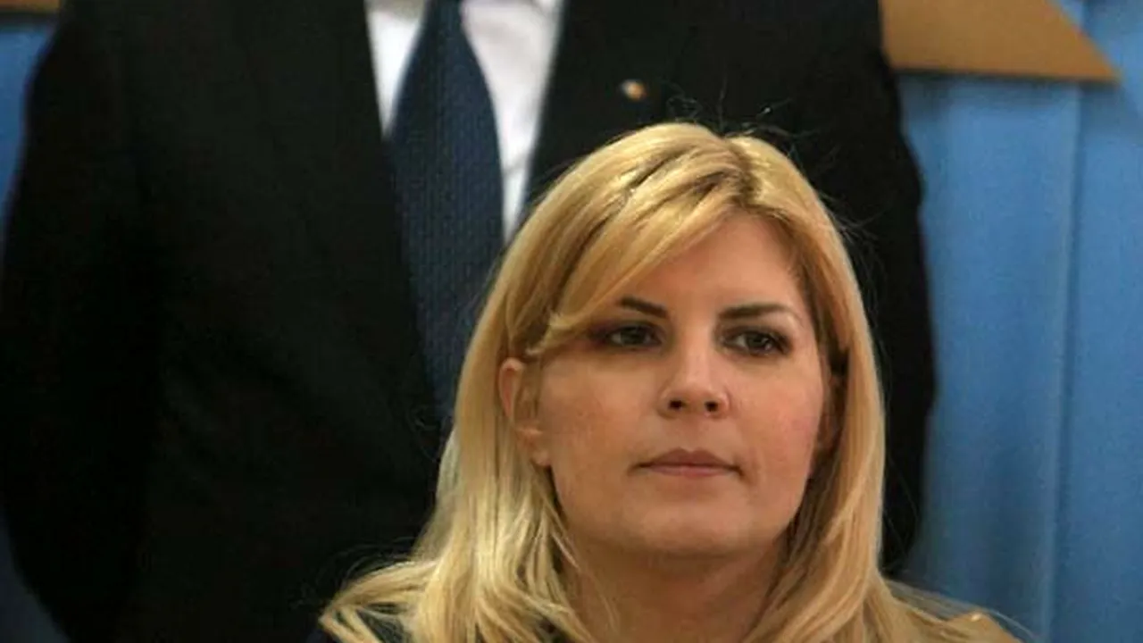 Udrea: Era mai corect ca alegerile din PDL să fie uninominale