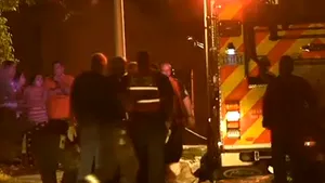 Cel puţin 41 de câini au murit într-un incendiu care a cuprins o casă din Las Vegas - VIDEO