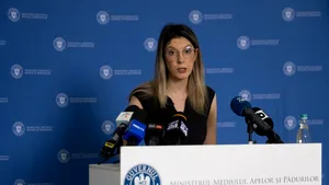 Diana Buzoianu, despre ESZ: Analizăm redactarea hotărârii care să desfințeze această companie
